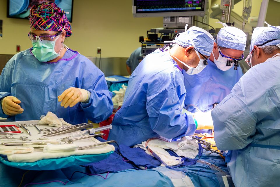 Tampa General Hospital Reaches Major Milestone With 13,000+ Organ ...